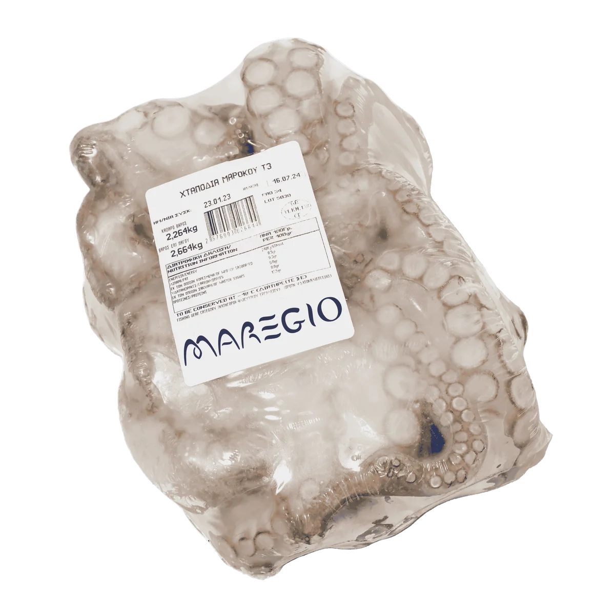 octopus-maroco