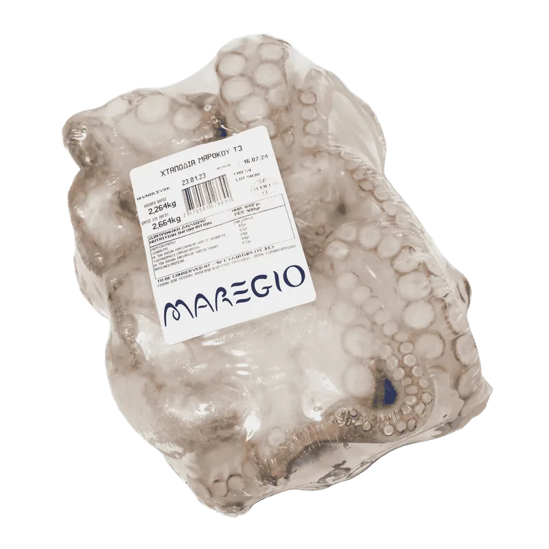 octopus-maroco